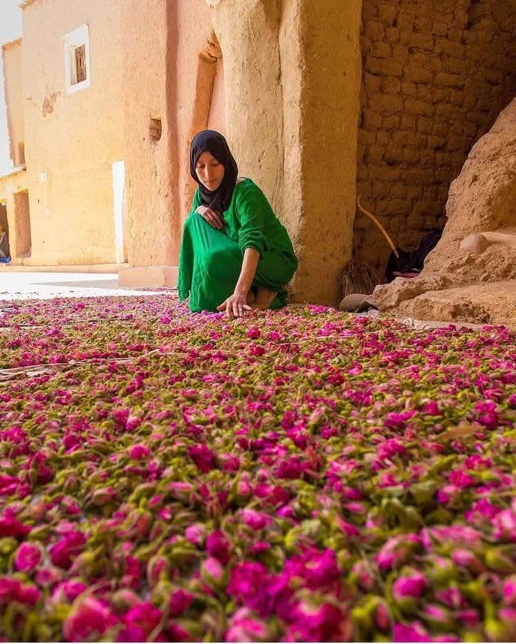 Map of Cycle Vietnam including Vietnam